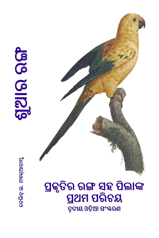 የዩኒኮርን የቁጥር መጽሐፍ: ውብ ዩኒኮርǛ cover