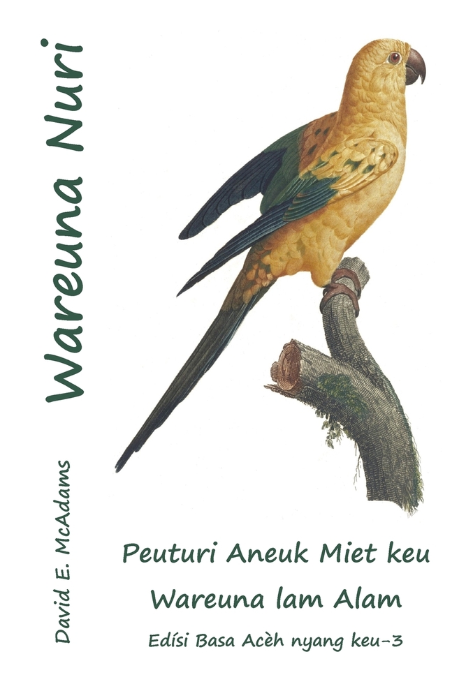 Wareuna Nuri: Peuturi Aneuk Miet keu Wareuna lam Alam cover