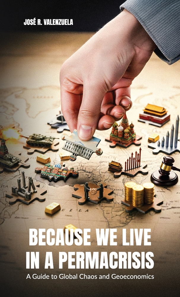 Because We Live in a Permacrisis, A Guide to Global Chaos and Geoeconomics cover
