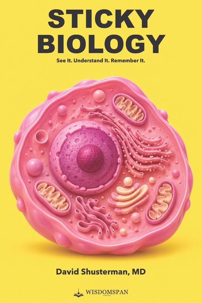 Sticky Biology: See It. Understand It. Remember It. cover