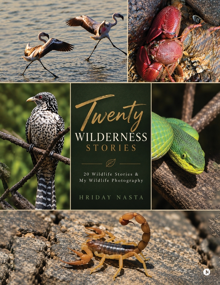 Twenty Wilderness Stories: 20 Wildlife Stories and My Wildlife Photography cover