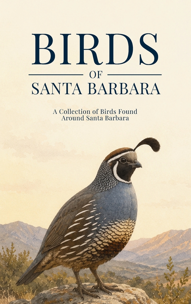 Birds of Santa Barbara: A Collection of Birds Found Around Santa Barbara cover