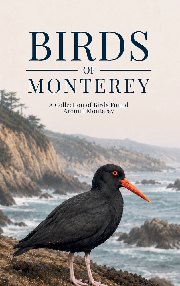 Birds of Monterey: A Collection of Birds Found Around Monterey cover