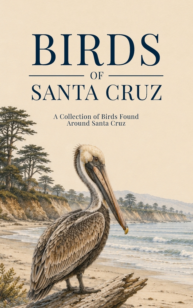 Birds of Santa Cruz: A Collection of Birds Found Around Santa Cruz cover