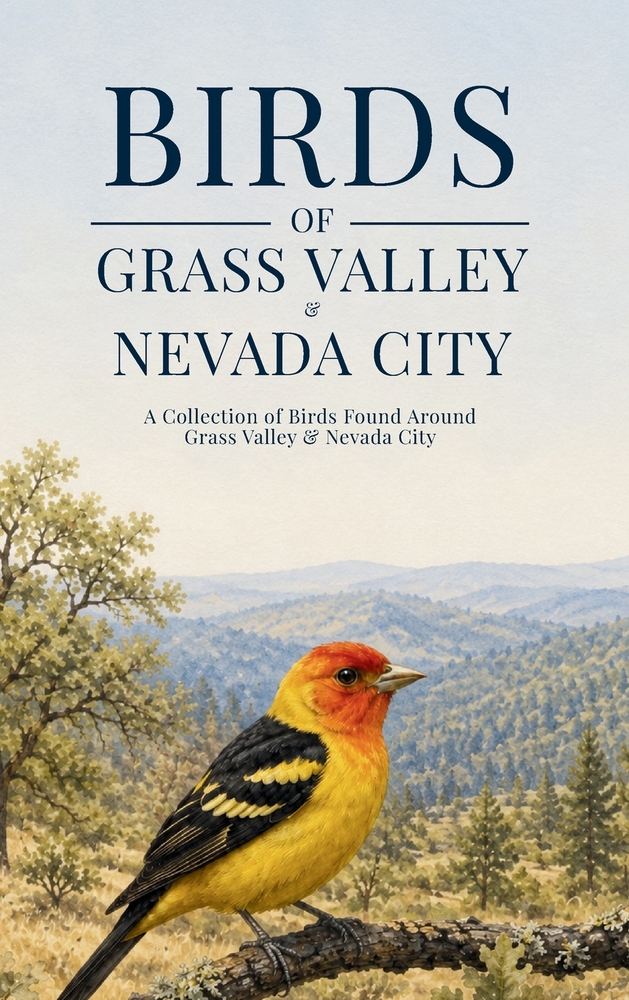 Birds of Grass Valley & Nevada City: A Collection of Birds Found Around Grass Valley & Nevada City cover