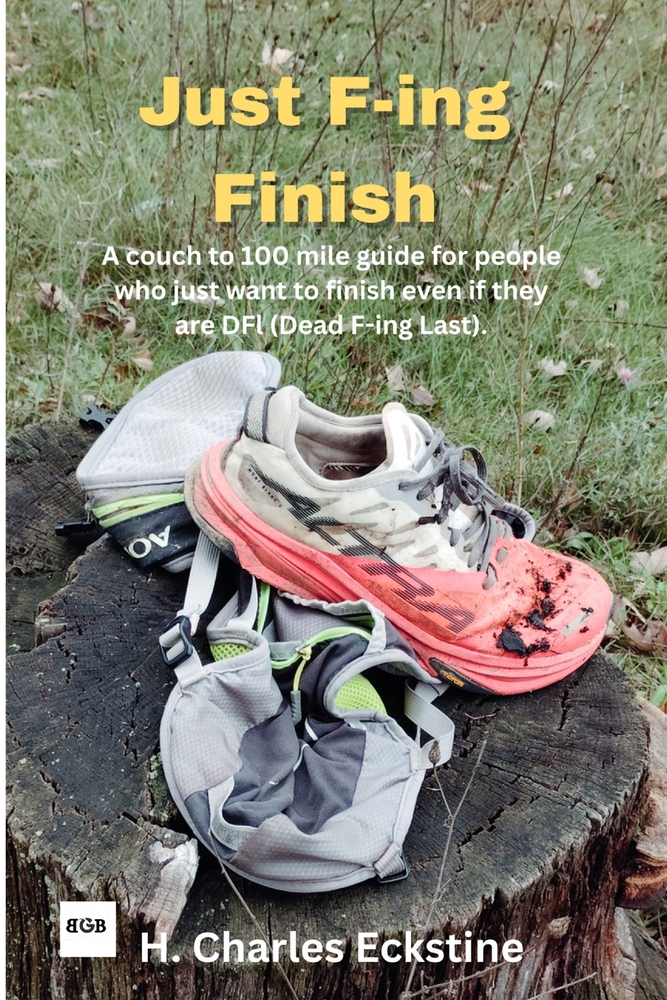 Just F-ing Finish cover