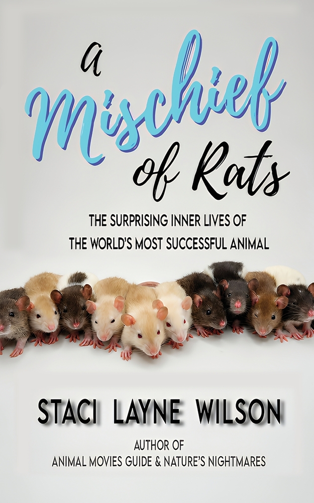 A Mischief of Rats: The Surprising Inner Lives of the World's Most Successful Animal cover