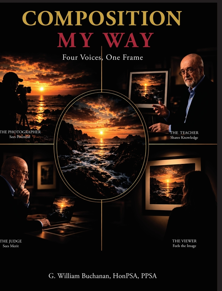 Composition My Way: Four Voices, One Frame cover