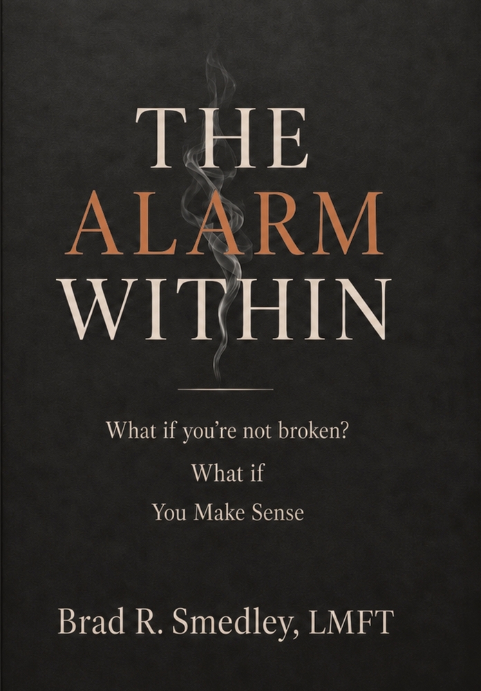 The Alarm Within: What if you're not broken. What if . . . You Make Sense cover
