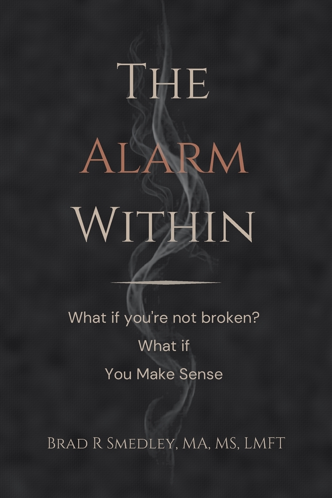 The Alarm Within: What if you're not broken. What if . . . You Make Sense cover