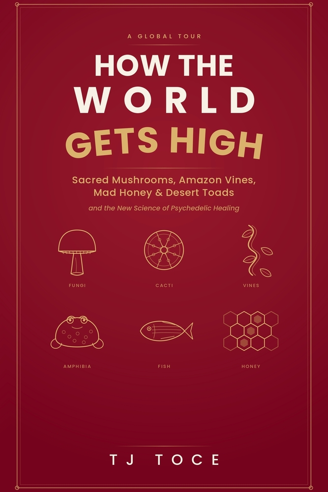 How The World Gets High: A Global Tour of Sacred Mushrooms, Amazon Vines, Mad Honey, Desert Toads and the New Science of Psychedelic Healing cover