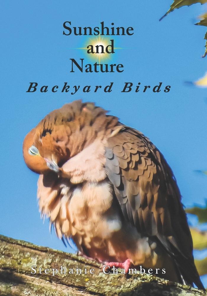 Sunshine and Nature: Backyard Birds cover