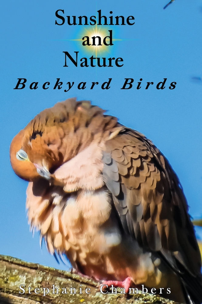 Sunshine and Nature: Backyard Birds cover