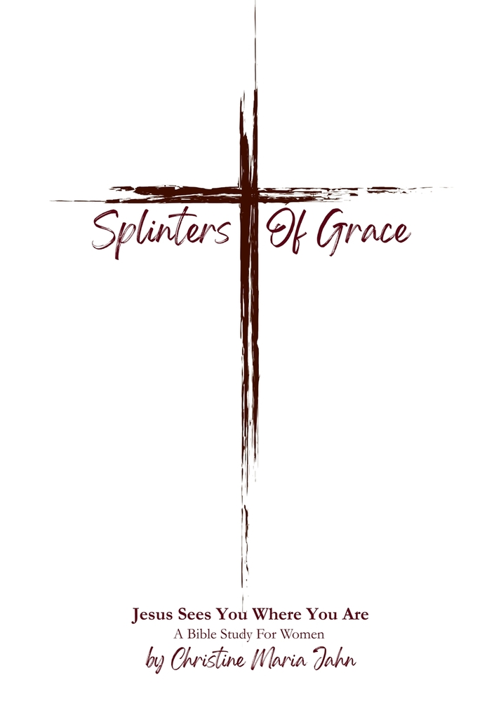 Splinters of Grace: Jesus Sees You Where You Are: A Bible Study For Women cover